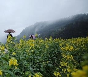 湖南张家界：山居民宿春色美