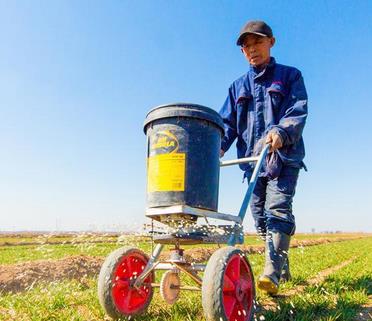 春回大地麦管忙