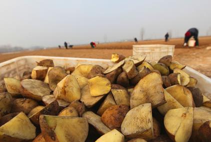 春暖播种新希望