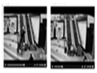 外卖小哥扔饭救娃 公司发见义勇为品德高尚锦旗