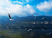 昆明将建米轨文化旅游观光带