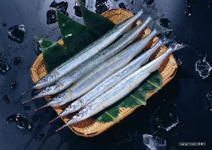 长江刀鱼随时面临“最后一捕”