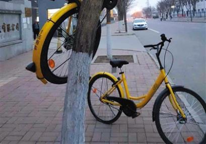 “10万辆共享单车仅50人管”遭质疑 ofo优势变劣势？