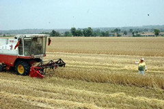 农民种地有&ldquo;保姆&rdquo; 自贡推行土地托管服务