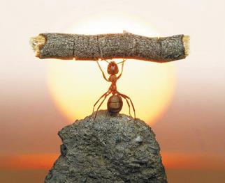 败走社交 蚂蚁的techfin能走多远