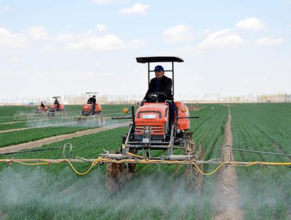 种粮大户春耕忙