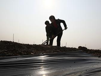 山东平邑：“节水农业”促增效