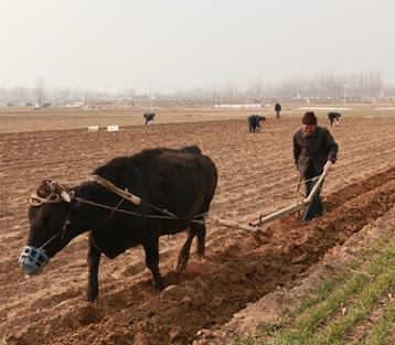 山东平邑：春回大地春种忙