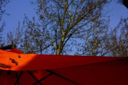 寒食伴清明：跨越2600年的坚守