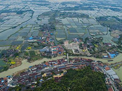 浙江东林：&ldquo;龟鳖大镇&rdquo;转型&ldquo;美丽乡村&rdquo;