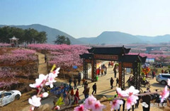 石头山上开鲜花,南召做实“农业旅游产业经”