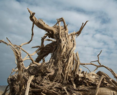 雅丹地貌：罗布泊龙城