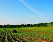 “中国犁”耐磨寿命已达国际先进水平