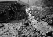 陕西白河致6死崩塌事故原因查明：系突发性地质灾害