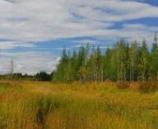 我国将推进覆盖全部国土的用途管制制度