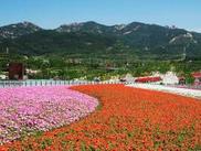 全球1200种花卉绽放延庆 提前两年预演北京世园会