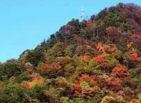 秦岭国家植物园将于“十一”正式开园