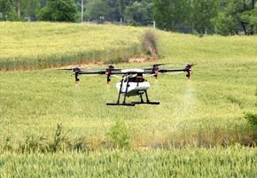 陕西全力抗击小麦病虫害 确保夏粮丰收