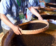 首届中国国际茶叶博览会在杭州开幕