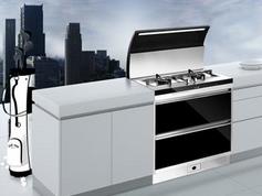 集成灶将成为厨电业新的消费增长点