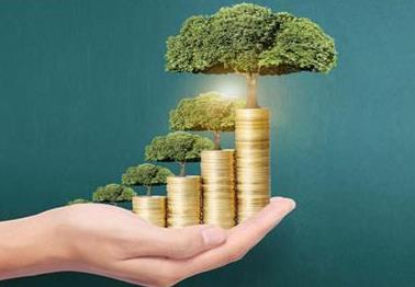 政策预期+估值洼地 新三板进入播种期