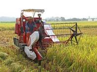 我国南方稻油连作迈向全程机械化