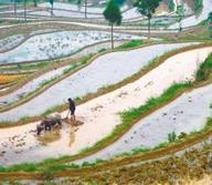 5日19时37分“芒种” 盛夏将至“养心防暑”