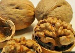 食药监总局：没有短时间提高智力的“灵丹妙药”