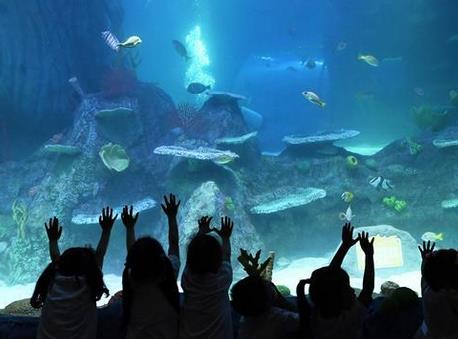 重庆海洋探索中心邀请市民参观体验