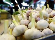 提起蒜价，蒜农心里稳多了