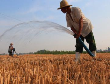 山东平邑：抗旱保夏种
