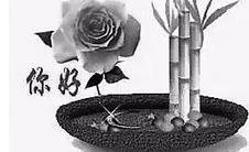 网络“中老年表情包”：被年轻群体视为老土、落后