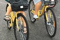 共享单车圈地时代或终结 “单车围城”成顽疾