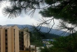 重庆八大休闲避暑山庄松映蓝天这里夏天仅20度