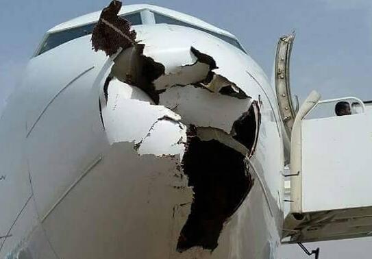 飞机空中撞鸟 机鼻被直接击穿