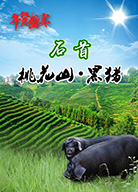 荆楚傅圣亮相农博会  性急市民&ldquo;打年货&rdquo;预订黑猪肉