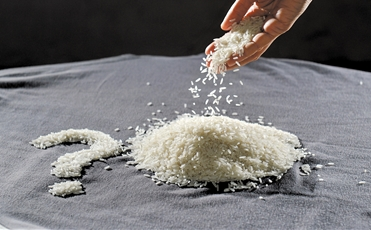 大米市场鱼龙混杂真假难辨 标称“五常米” 九成是李鬼