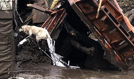 美国加州泥石流灾害导致至少17人死亡