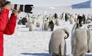 出境游高峰提前到来 春节南极游成热门