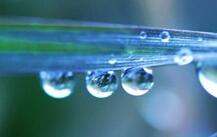 19日“雨水”：我国大部地区气温回升至零摄氏度以上