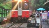 事故频发多次出轨 阿里山森林铁路暂停驶