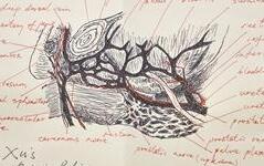 医生手绘图向病人解释病情：让患者更加理解医生