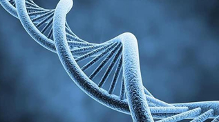 科普：基因检测如何测出你的未来