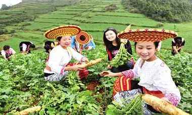 安徽：农业无边界城乡共融合