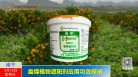盈燦植物遮阳剂应用功效探访