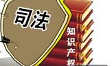 知识产权将建侵权惩罚性赔偿制度