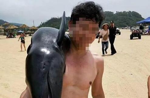 游客海边潇洒扛走伪虎鲸幼崽 结果却悲剧了(图)