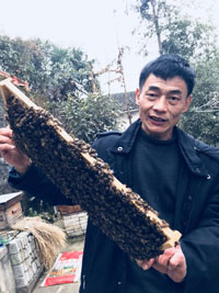 朱一军：昔日&ldquo;船长&rdquo;创业打造高端枇杷蜜