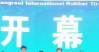 山东广饶县成功举办第九届 中国（广饶）国际橡胶轮胎暨汽车配件展览会