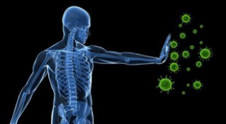 人体免疫系统的奥秘